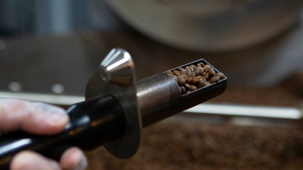 Cypher's Café Mundo Box: Your Passport to a World of Coffee Flavors!