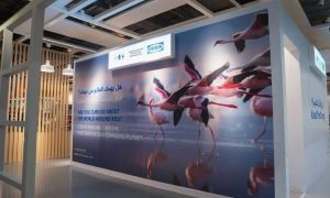 Exploring 'A Day in the Life of Climate Change' at IKEA!