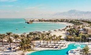 Hilton's Impactful Fight Against Food Waste in the UAE"