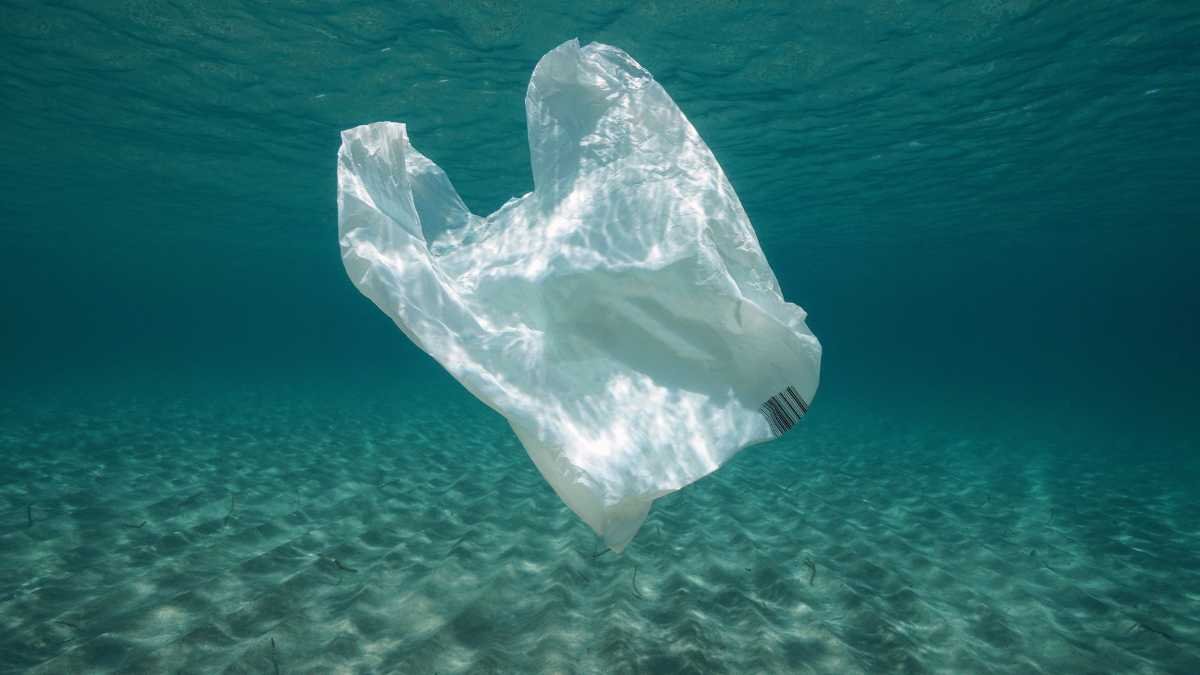 Aster Pharmacy's Plastic Revolution: 7.4 Million Paper Bags Lead the Charge in Dubai!