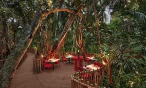 Maldives' Iconic Nest Restaurant Returns - A Jungle Dining Adventure Awaits!