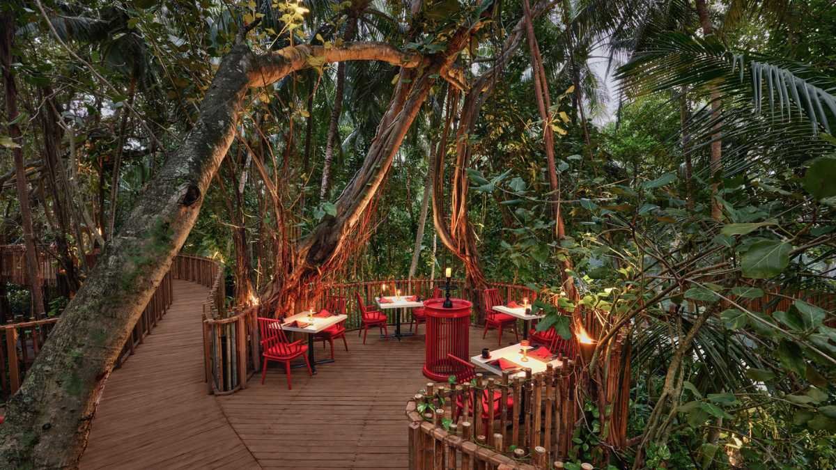 Maldives' Iconic Nest Restaurant Returns - A Jungle Dining Adventure Awaits!