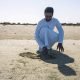 Millennium Hotels & Resorts Mea's Sustainable Initiative With The Storey Group