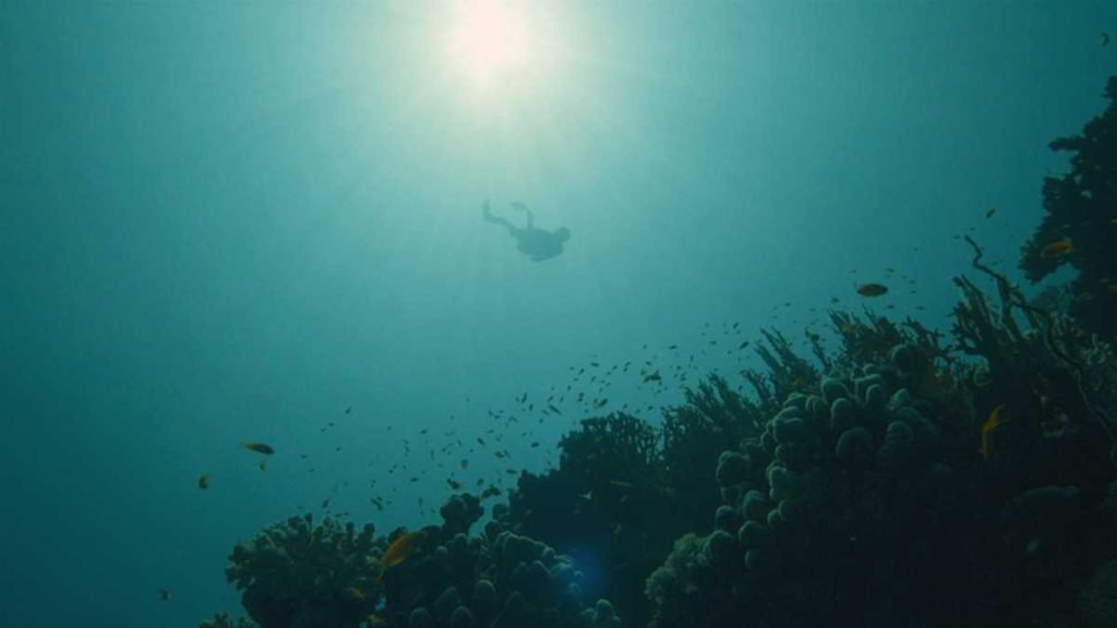 The Fight For Corals A Collaborative Endeavor By Red Sea Global And Warner Bros. Discovery (2)