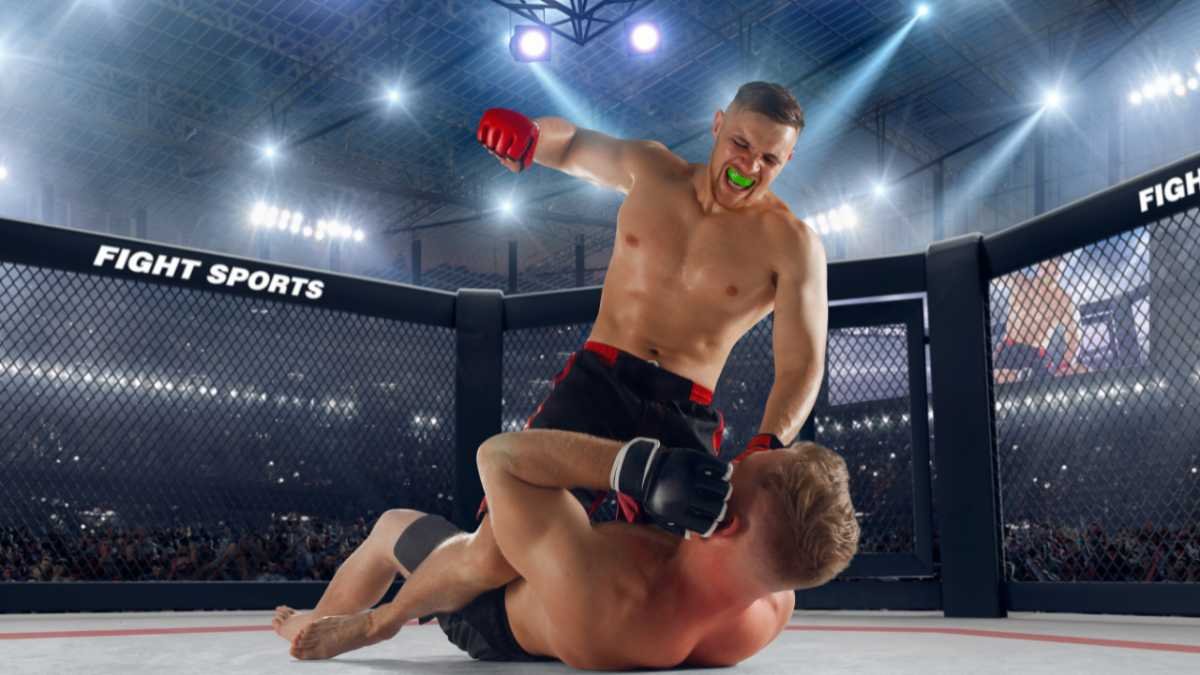 Everything You Need To Know About Ufc, World's Fastest Growing Sport