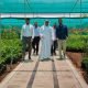 Gulf Contracting & Landscaping Launches Massive Plant Nursery In Abu Dhabi