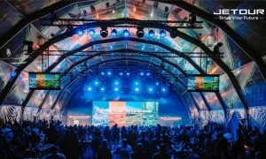 Cheetahs The World's Fastest Land Animals Facing Rapid Decline