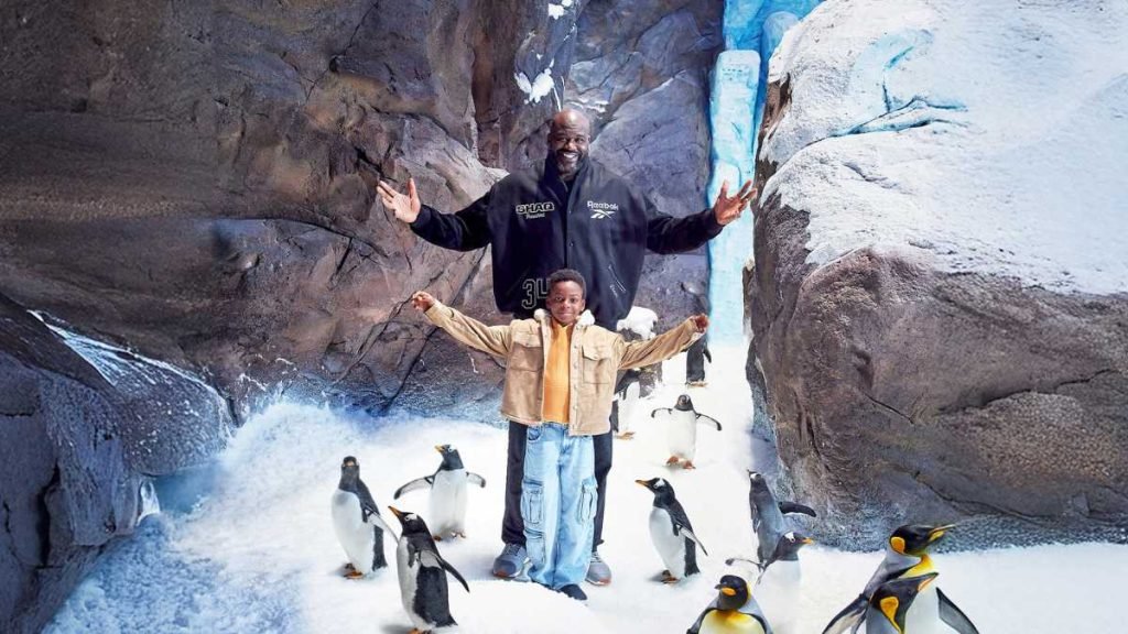 Yas Island’s Wildest Move Yet With Shaquille O'neal And Flipperachi! (2)
