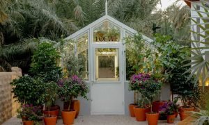 Experience Loewe Perfumes At Al In Oasis